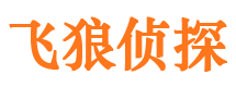 茶陵寻人公司